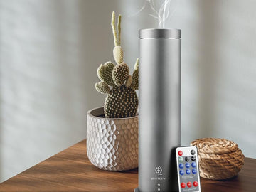 How Does Scent Affect Attraction? - QUIESCENT