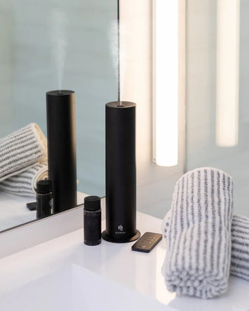 Why is Scent So Powerful? - QUIESCENT