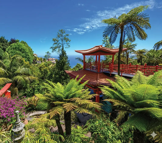 Red pagoda surrounded by lush greenery with a clear blue sky