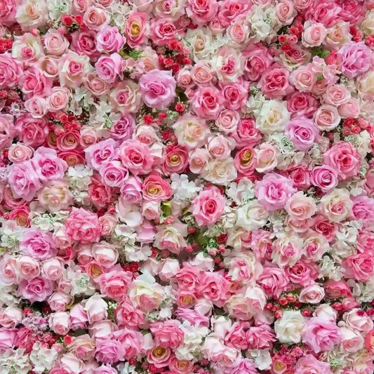 Rose Radiance - QUIESCENT